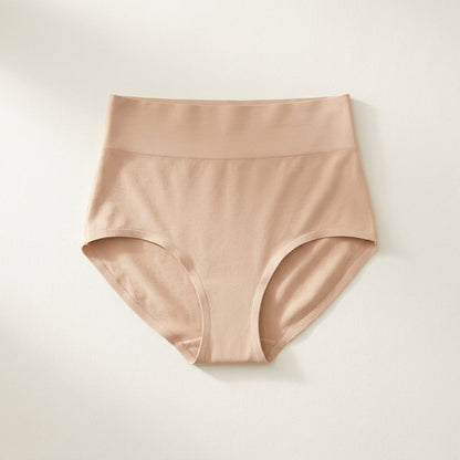 Maggie's high-waisted smoothing brief in nude